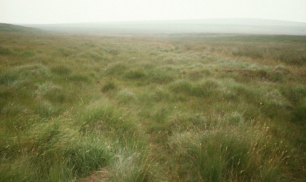 Wandelen langs de East Dart
