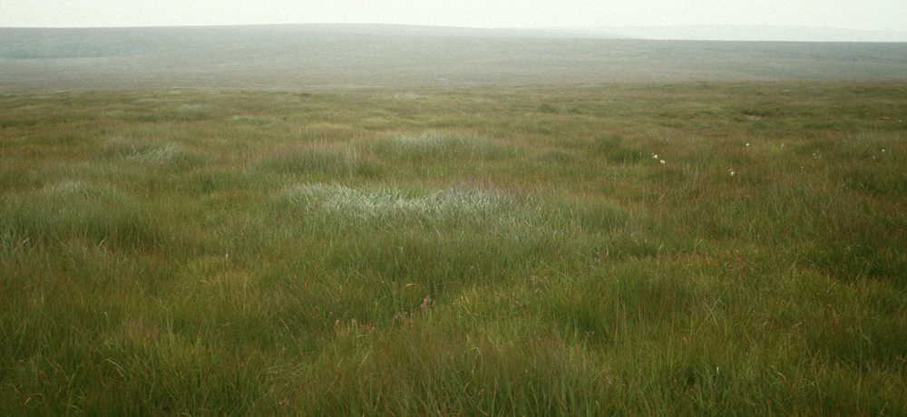 Het moerasgebied bij East Dart Head