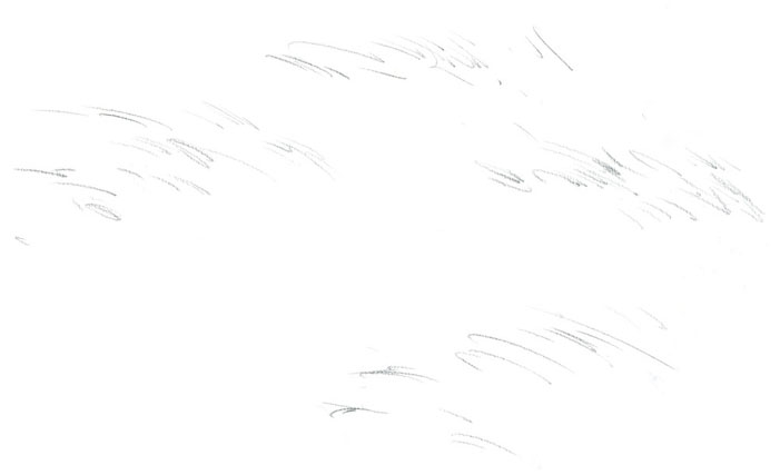 Tekening van gras bij South Tavy Head