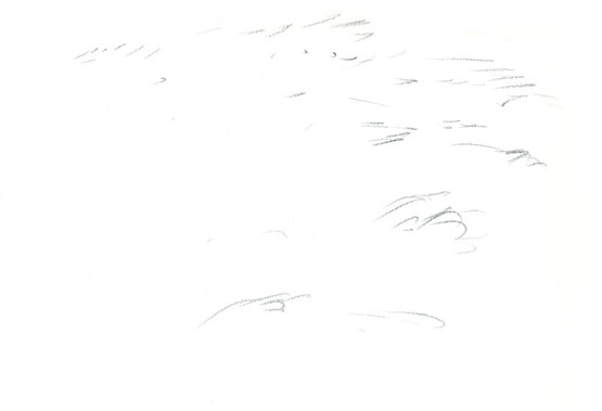 Tekening van gras bij South Tavy Head