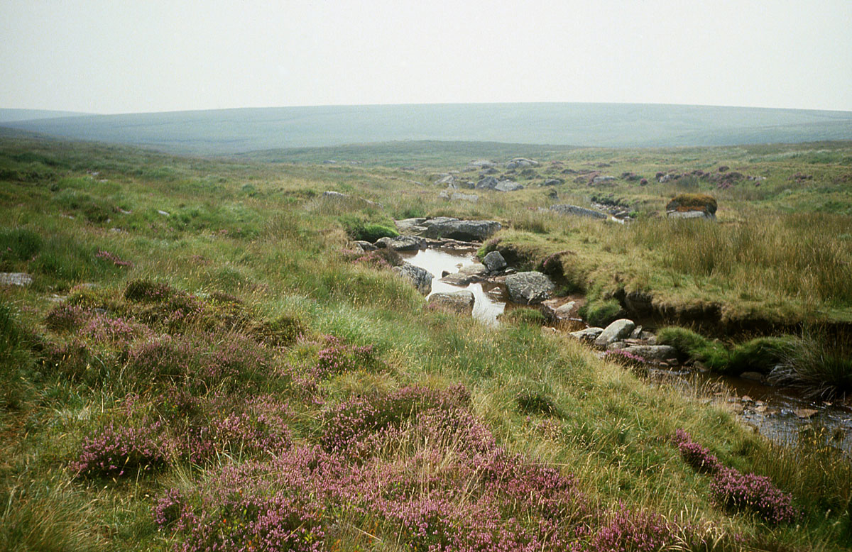 Wandelen langs de East Dart