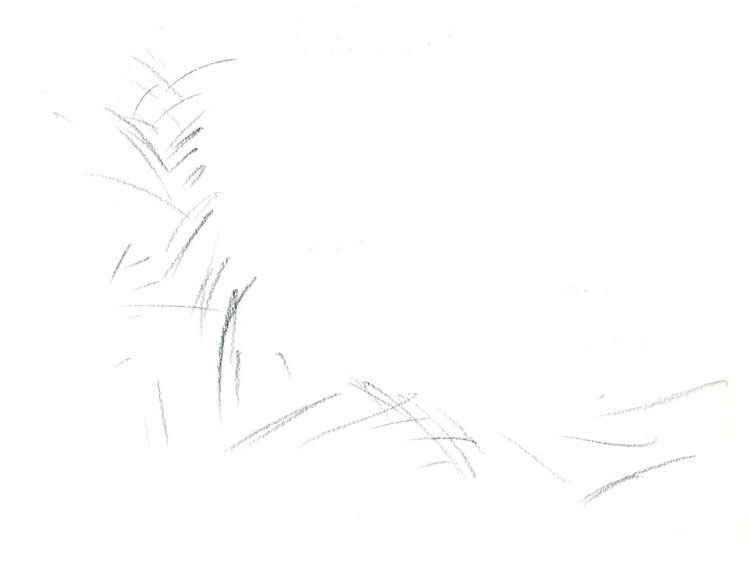 Tekening van een waterloop