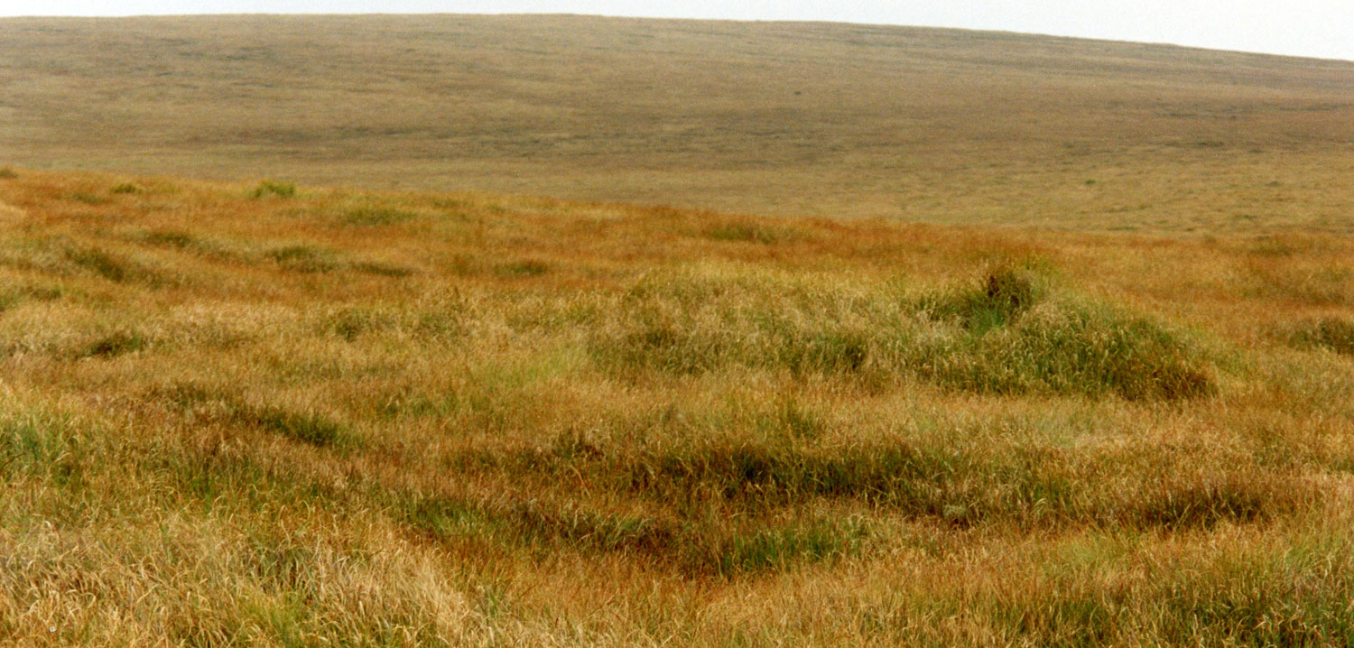 Het oranje landschap bij Blacklane