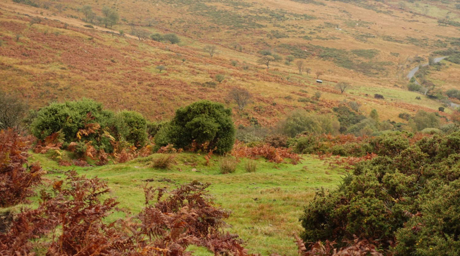 Het oranje landschap na regenbui in oktober bij de Swincombe