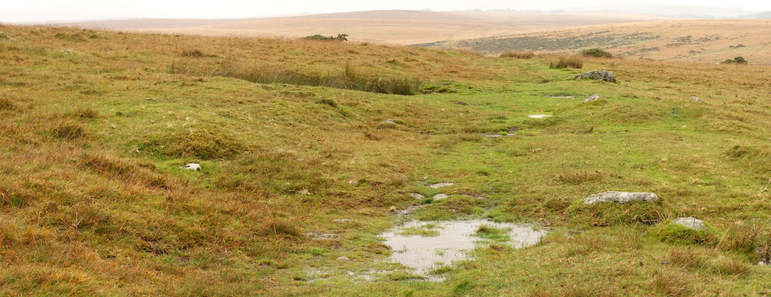 Roze gras bij de Swincombe na regenbui in oktober
