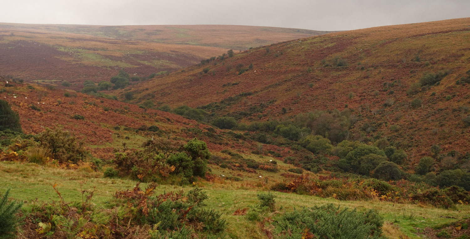 Rood en oranje landschap na regenbui in oktober bij de swincombe