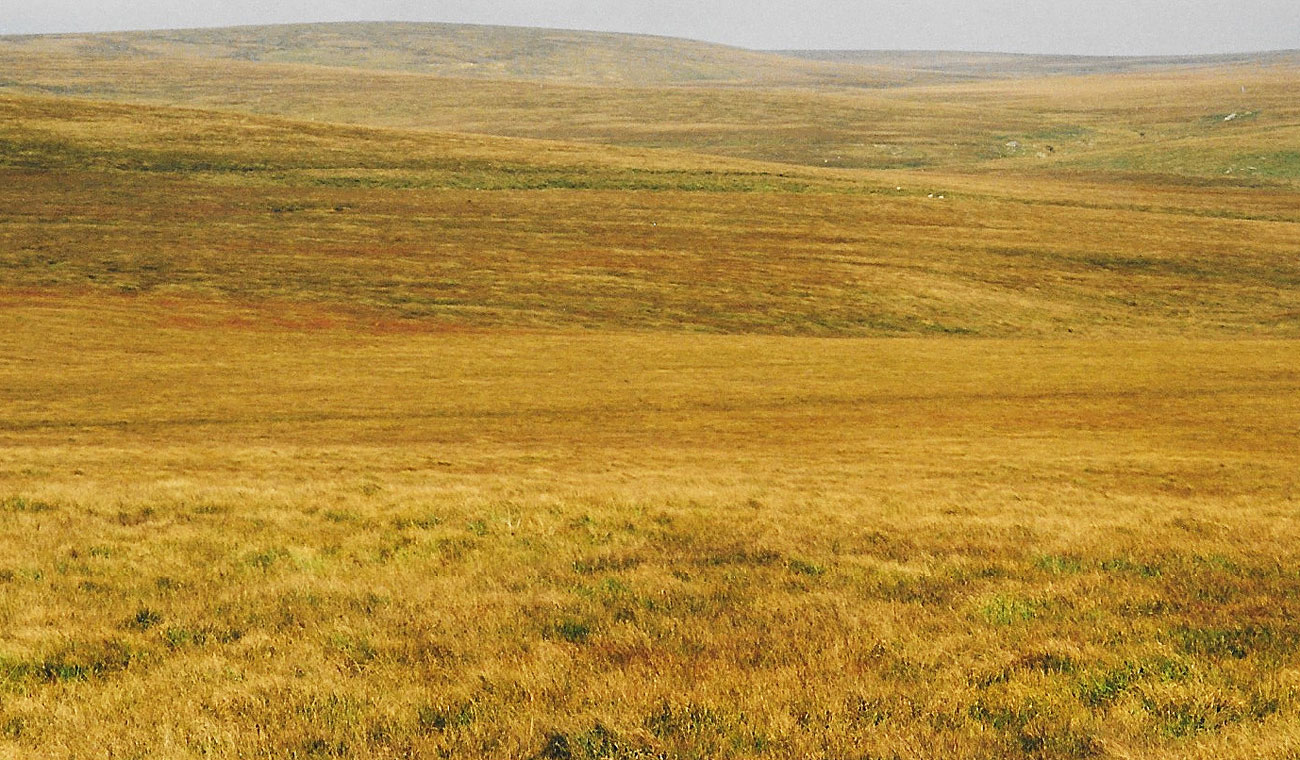Het oranje landschap bij de West Dart