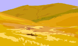 oranje landschap