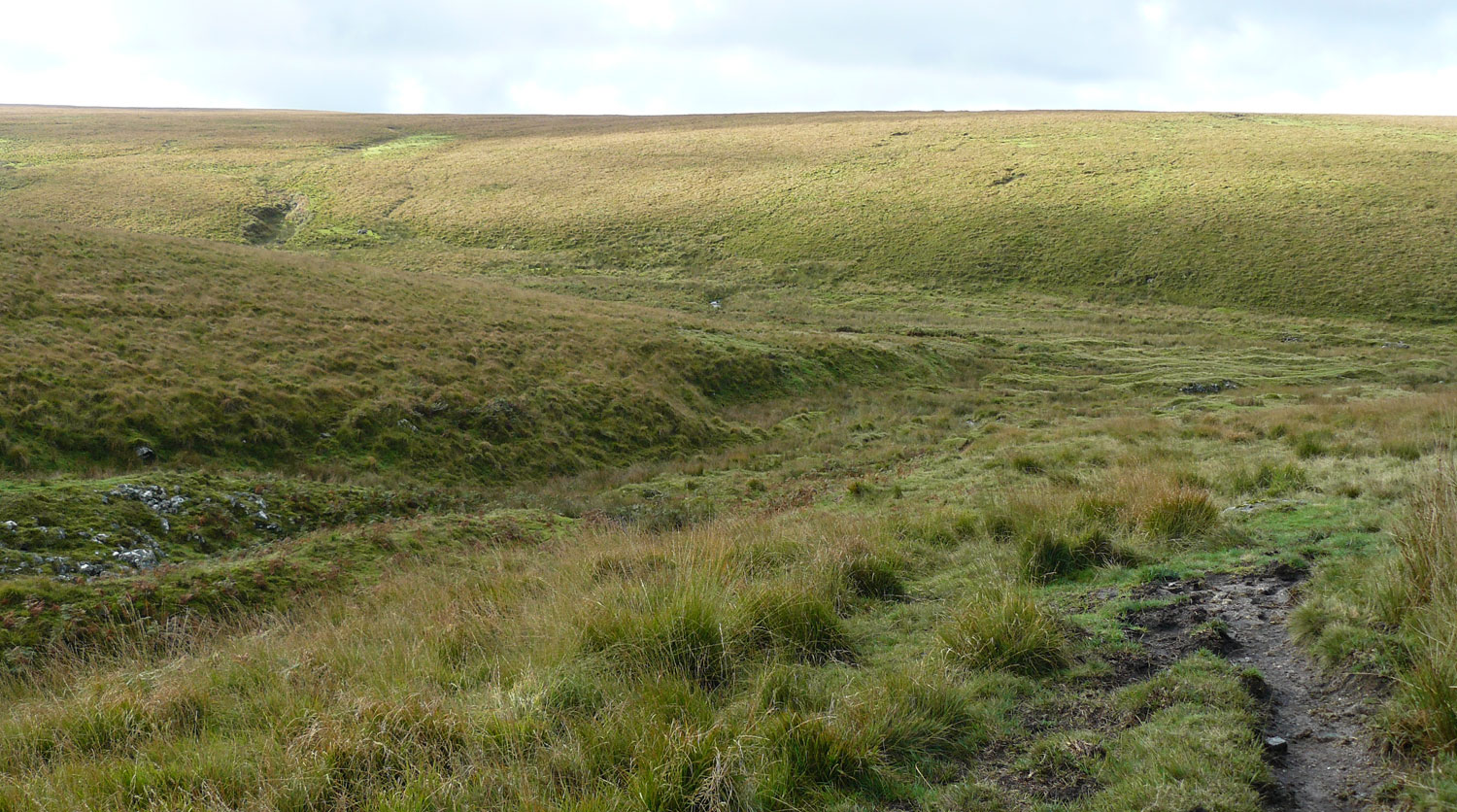 Langcombe Head