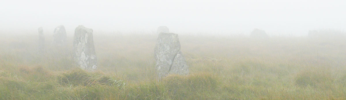 Grey Whethers