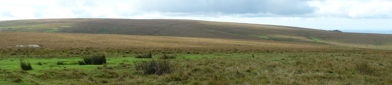 Lee Moor