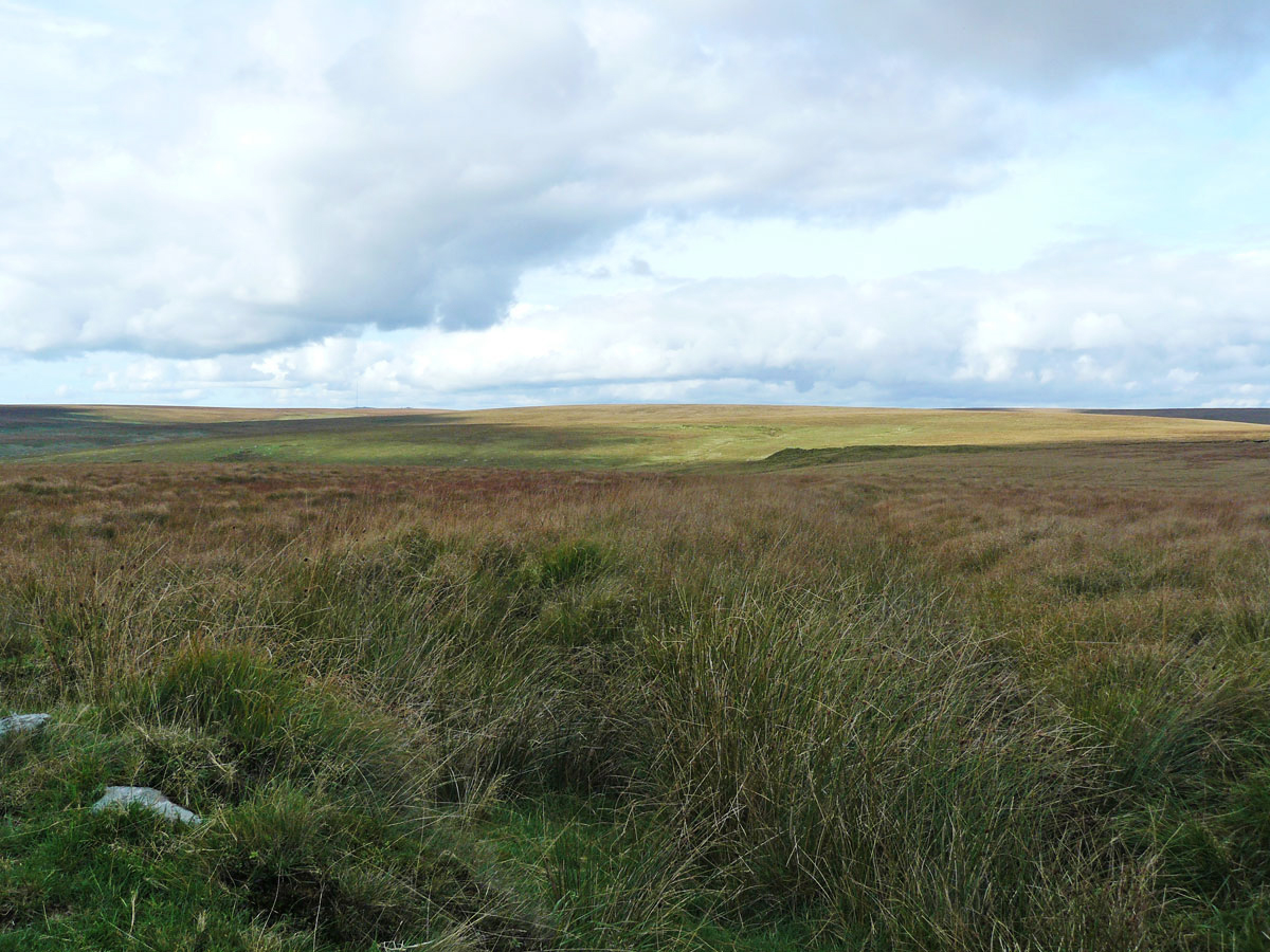 Uitzicht op Green Hill vanaf de Two Moors Way
