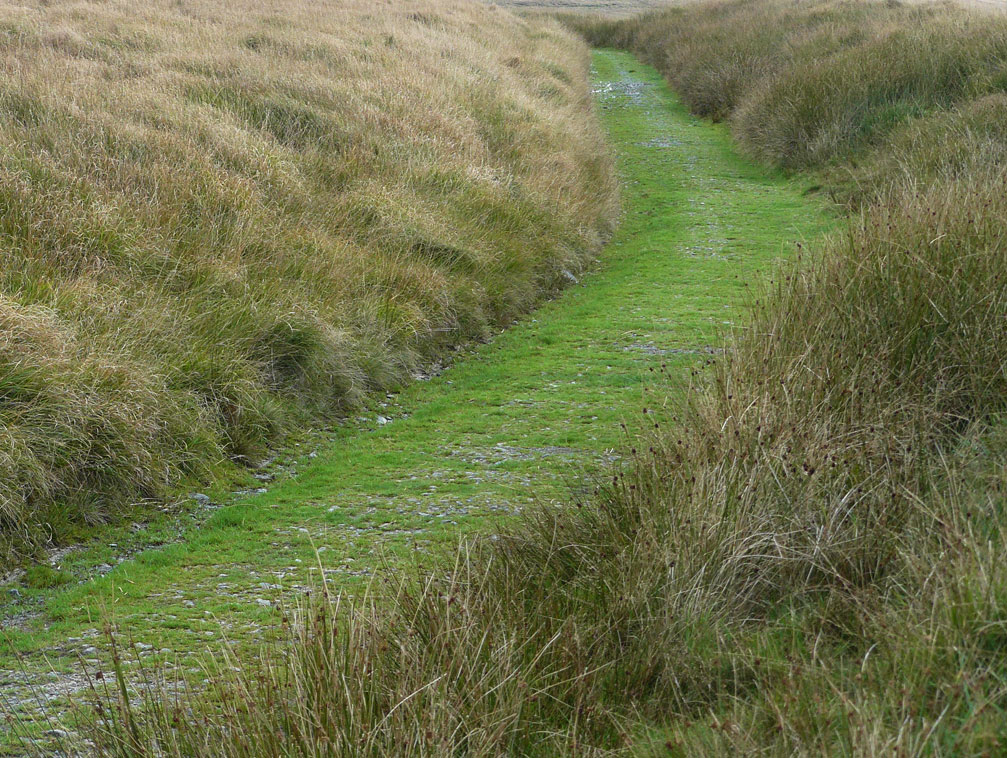 Two Moors Way