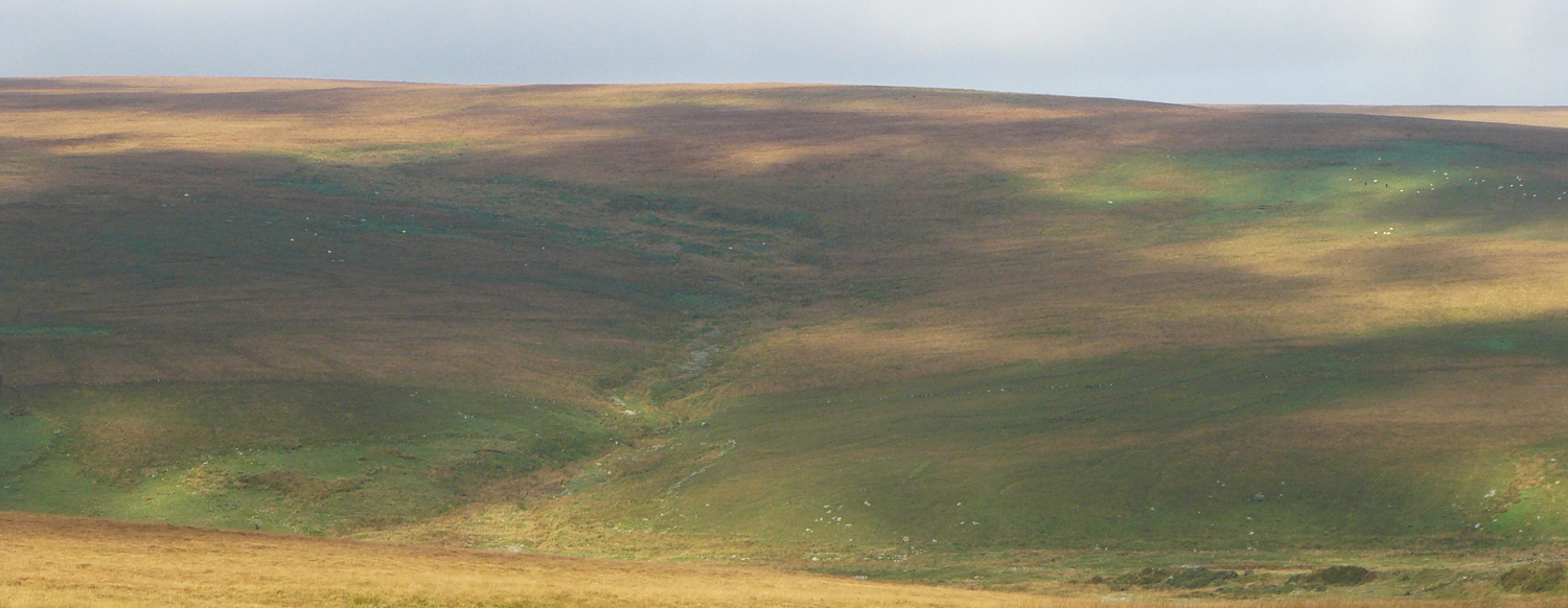 Lee moor